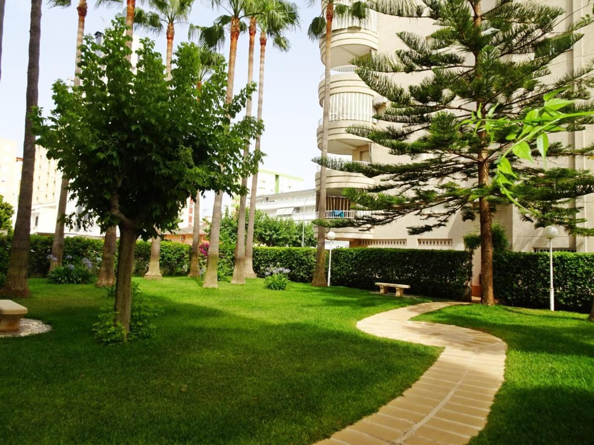 Tropicana Gandia - Alquiler Solo Familias * Playa de Gandia